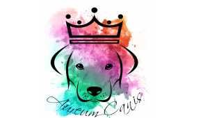 Aureum Canis